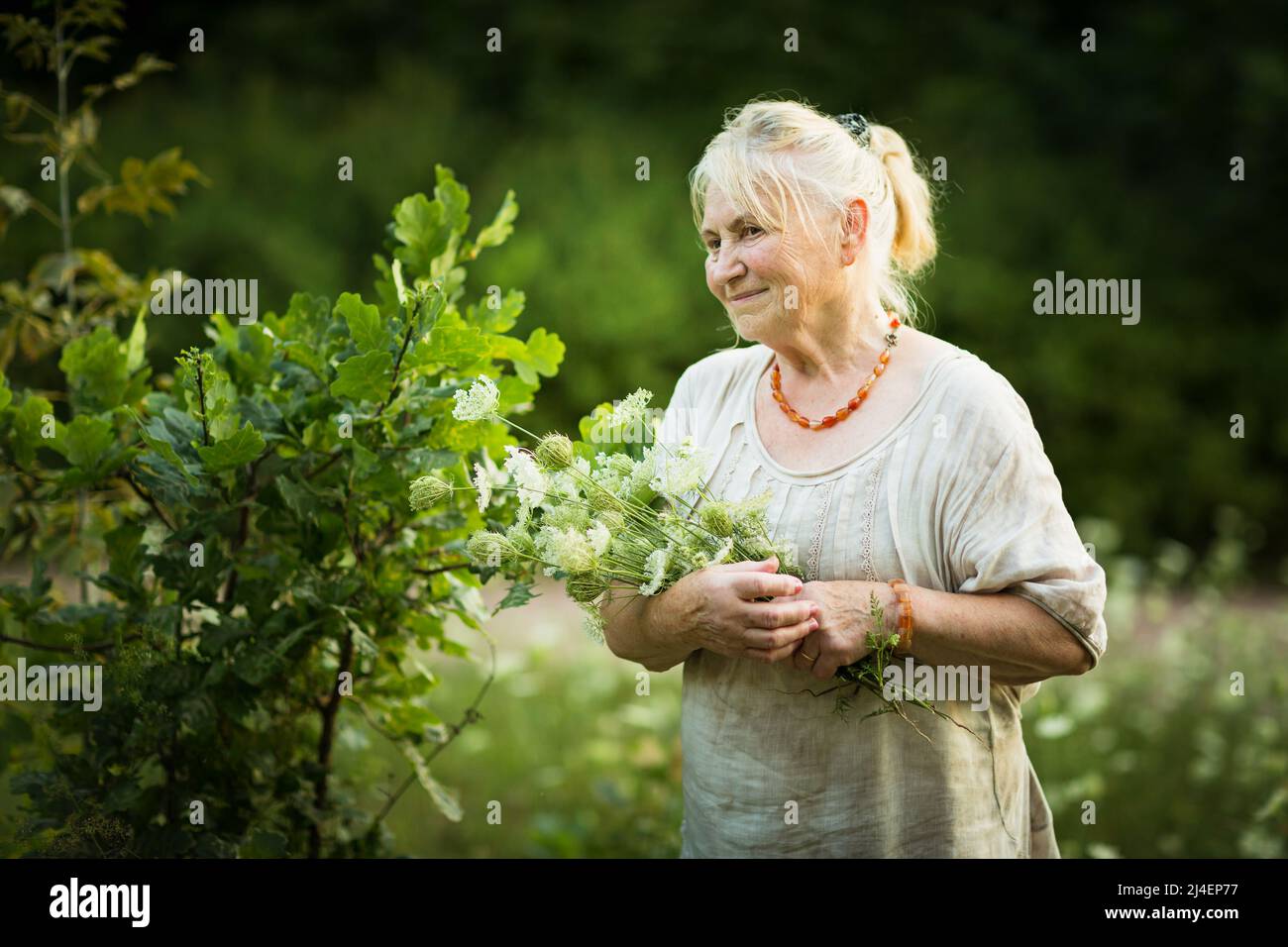 Elderly woman in white vintage dress walks around the garden with a bouquet of field flowers Stock Photo
