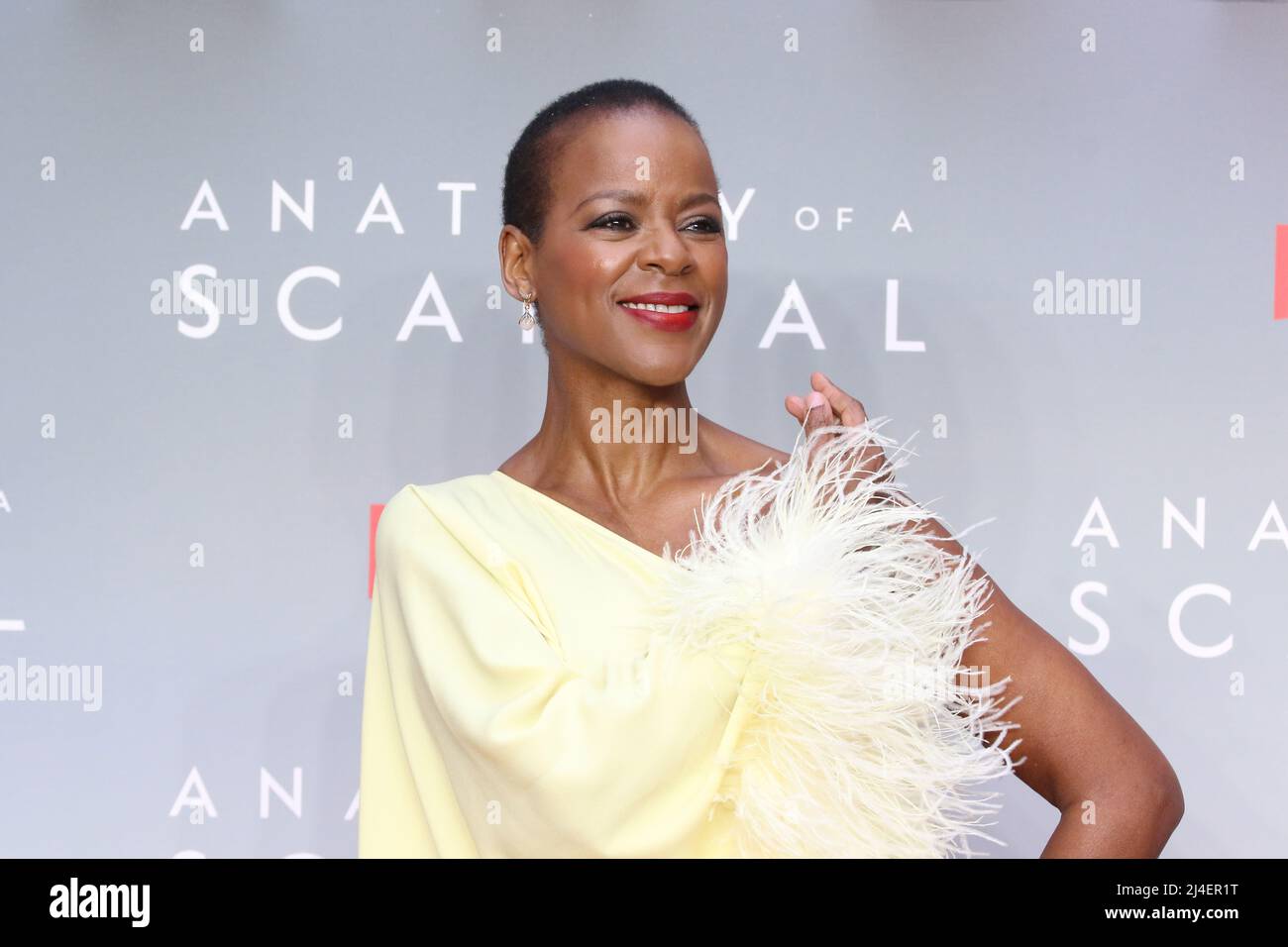 Josette Simon, Anatomy of a Scandal - World Premiere, Curzon Mayfair