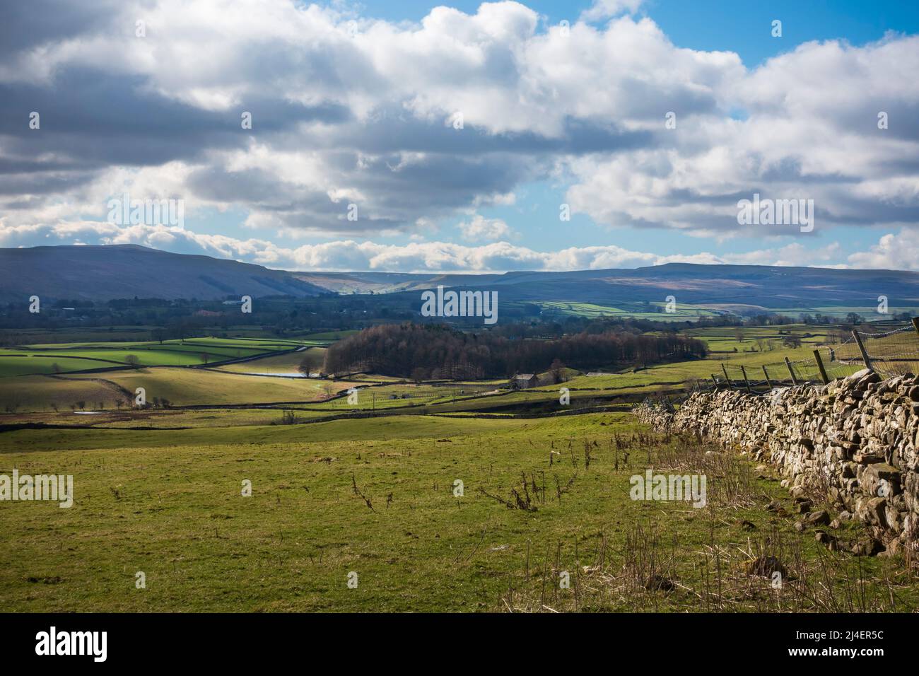 View of Wensleydale from Castle Bolton, Yorkshire Dales National Park. Iconic dry stone walls enclose sheep pastures in early spring. Stock Photo