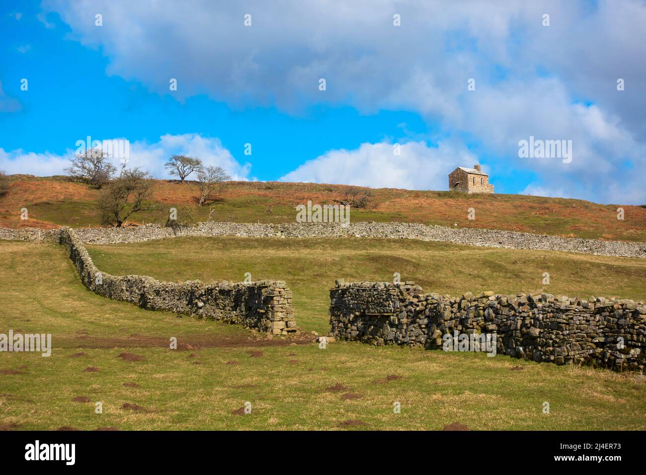 Hilltop house near Bolton Castle, Wensleydale, Yorkshire Dales National Park. Iconic dry stone walls enclose sheep pastures. Stock Photo