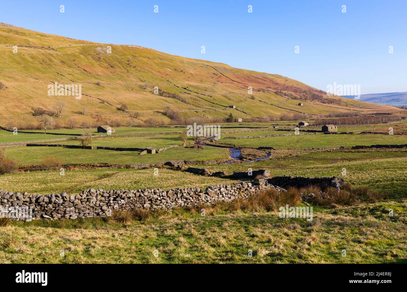 Cotterdale, Yorkshire Dales National Park.  A small side dale off Wensleydale below Great Shunner Fell.  East Gill and West Gill join to form Cotterda Stock Photo