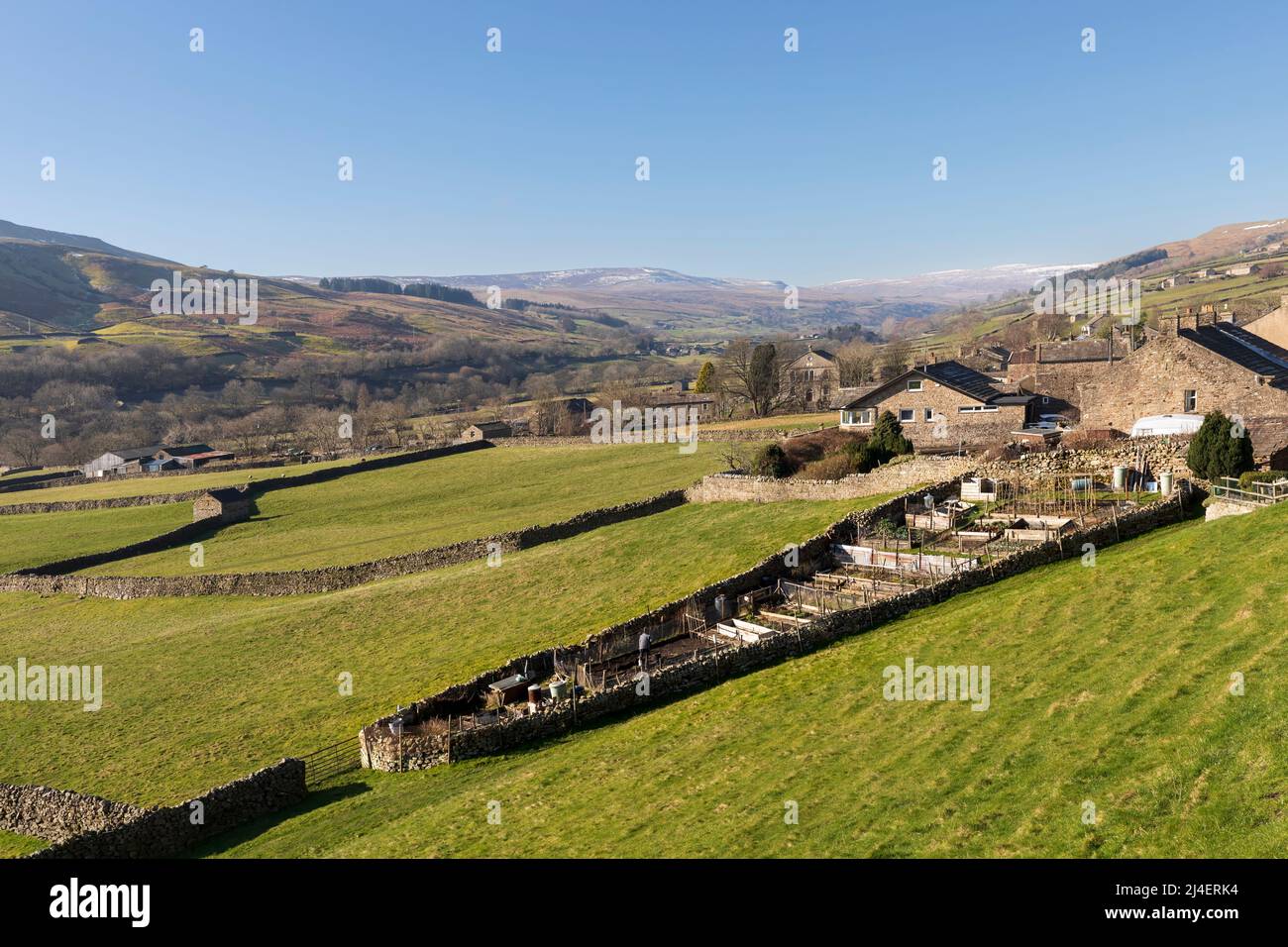 Allotments in the village of Gunnerside, Swaledale, Yorkshire Dales National Park. Iconic dry stone walls and stone barns dot the landscape below the Stock Photo