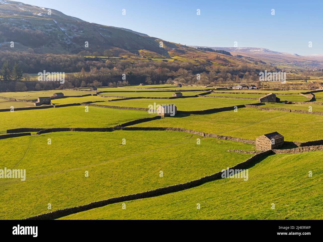 Iconic stone barns and dry stone walls of Swaledale near Gunnerside, Yorkshire Dales National Park Stock Photo
