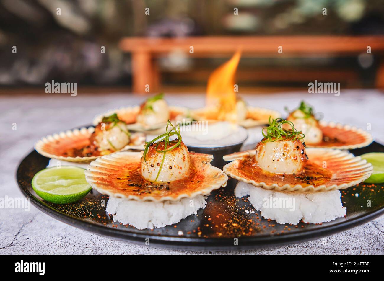 Scallops with flamed shells on a black plate. Luxury restaurant food. Seafood, selective focus