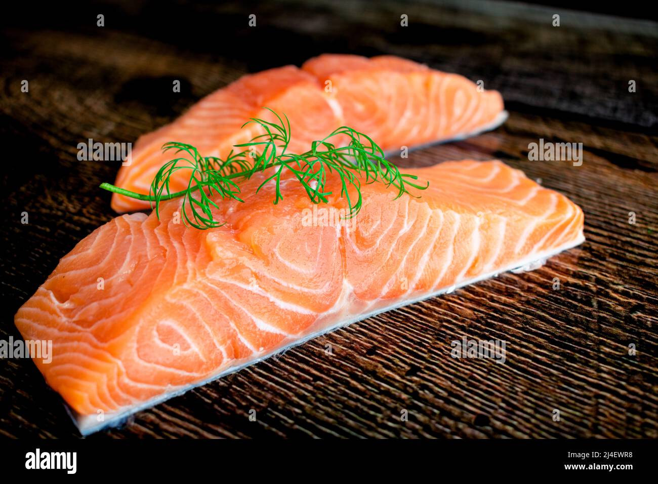 Raw Salmon Fillets Garnished with Fresh Dill Closeup view of uncooked