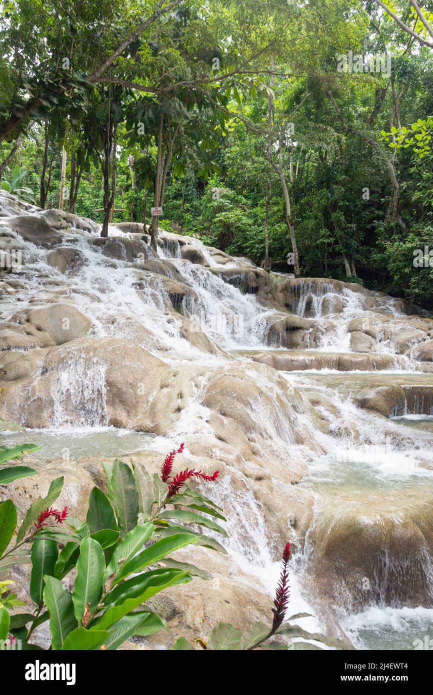 Dunns River Falls, Ocho Rios, St Ann Parish, Jamaica, Greater Antilles, Caribbean Stock Photo