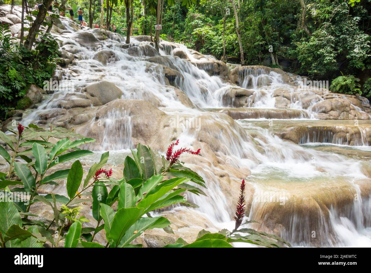 Dunns River Falls, Ocho Rios, St Ann Parish, Jamaica, Greater Antilles, Caribbean Stock Photo