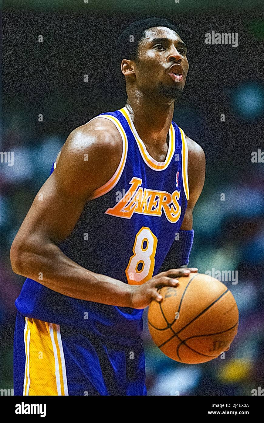 Kobe Bryant smiles and poses with a basketball wearing Laker home color  shoes and jersey at