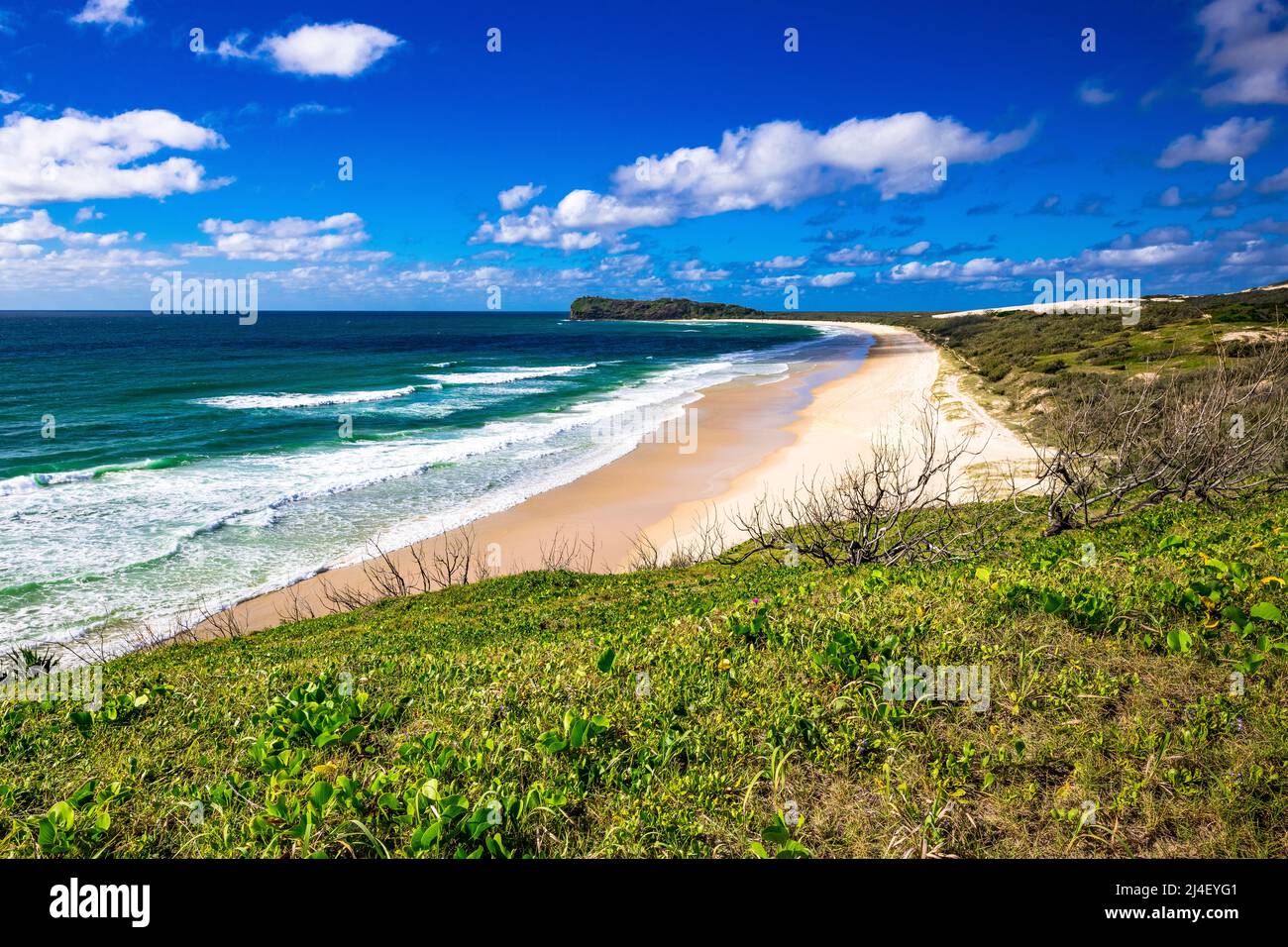75 Mile Beach with Indian Head in the distance on Fraser Island