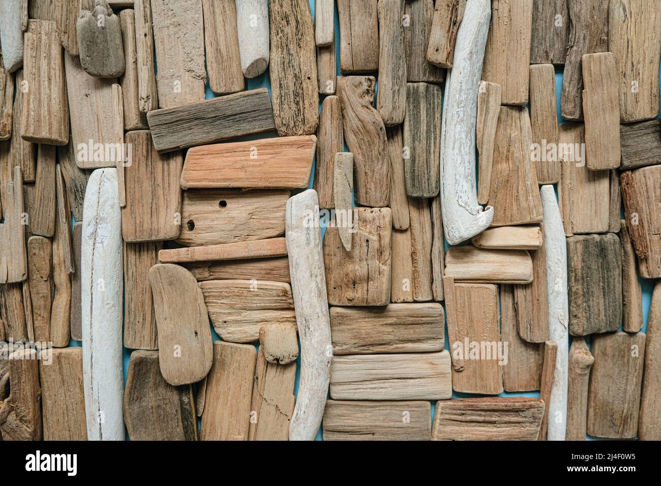 driftwood wall.Gray and brown sea driftwood texture.driftwood background.Natural wood decor in a nautical style.row of sea snags on blue background Stock Photo