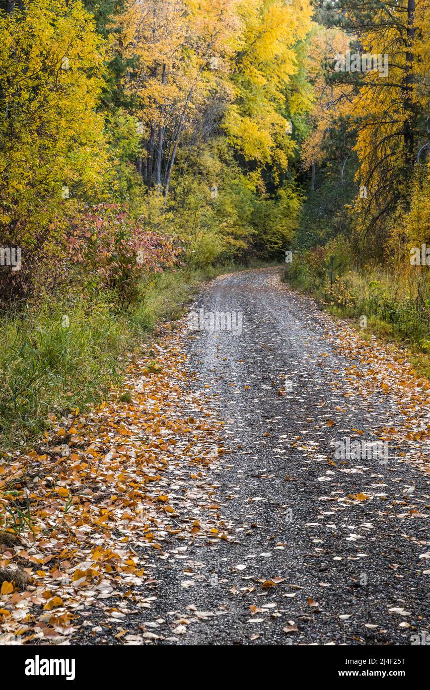 Cascades to palouse trail hi-res stock photography and images - Alamy