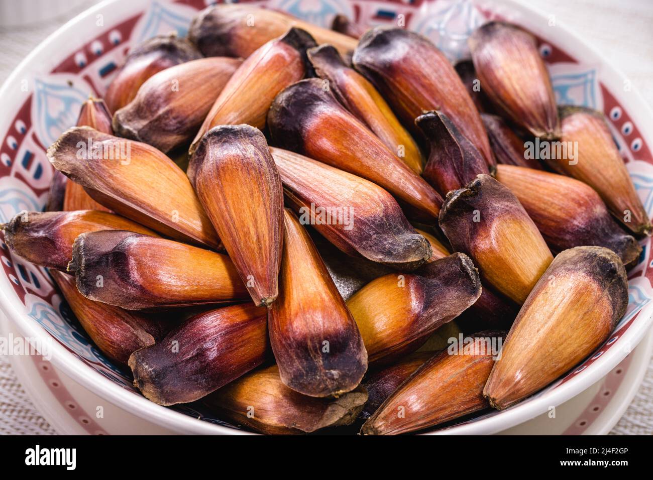 pinhão seed, typical Brazilian seed, served cooked. Food rich in minerals, healthy and consumed in winter Stock Photo