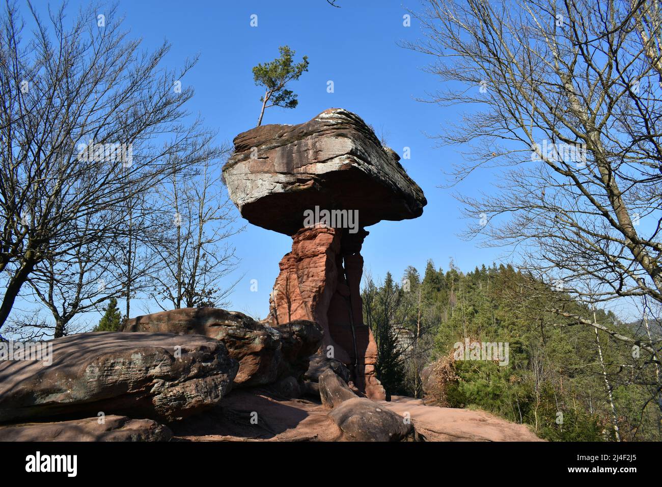 Teufelstisch, Devil's Table, Felsformation, rock formation, Sandstein,  Buntsandstein, sandstone, red sandstone, Roter Sandstein, Rock, Schroff,  Fels Stock Photo - Alamy