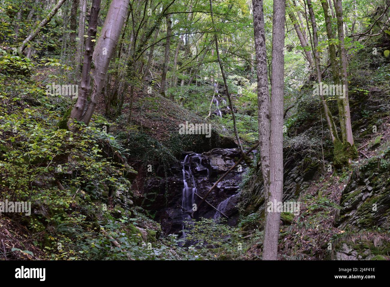 Wasserfall, Waterfall, Cascade, Forest, Wald Stock Photo
