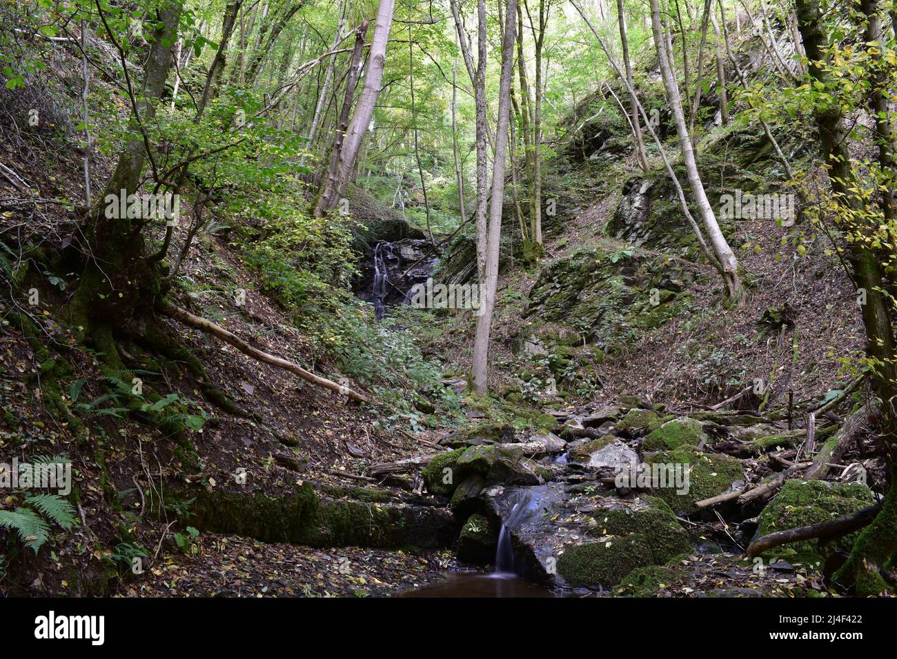 Wald, Wasserfall, Forest, Cascade, Waterfall Stock Photo
