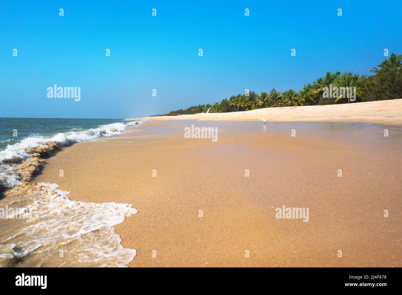 Beautiful tropical beach in Varkala, Kerala, India Stock Photo