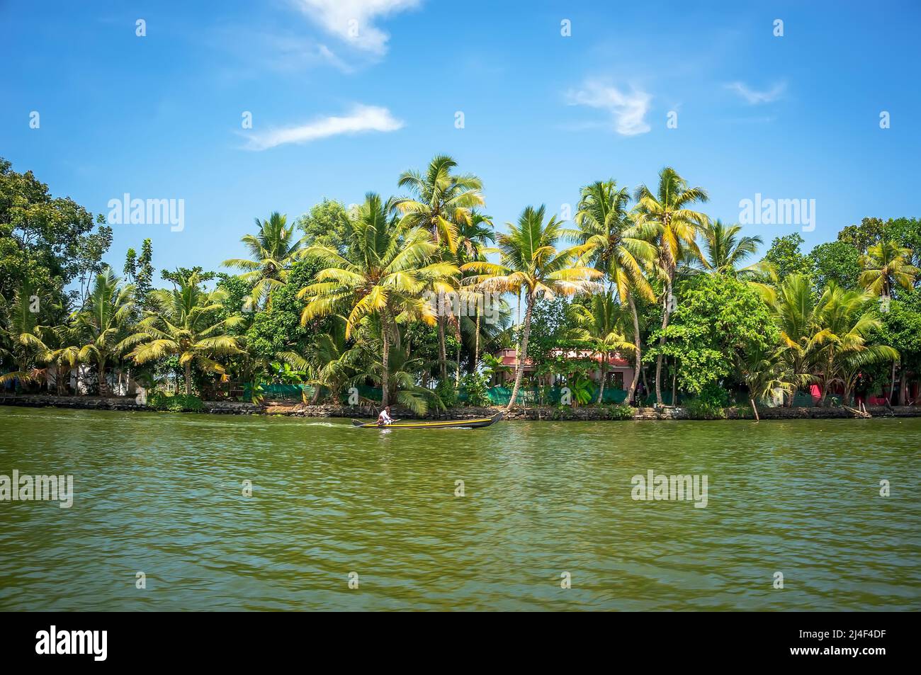 panoramic view with Coconut trees and fisherman house, backwaters landscape of Alleppey, Kerala, India Stock Photo