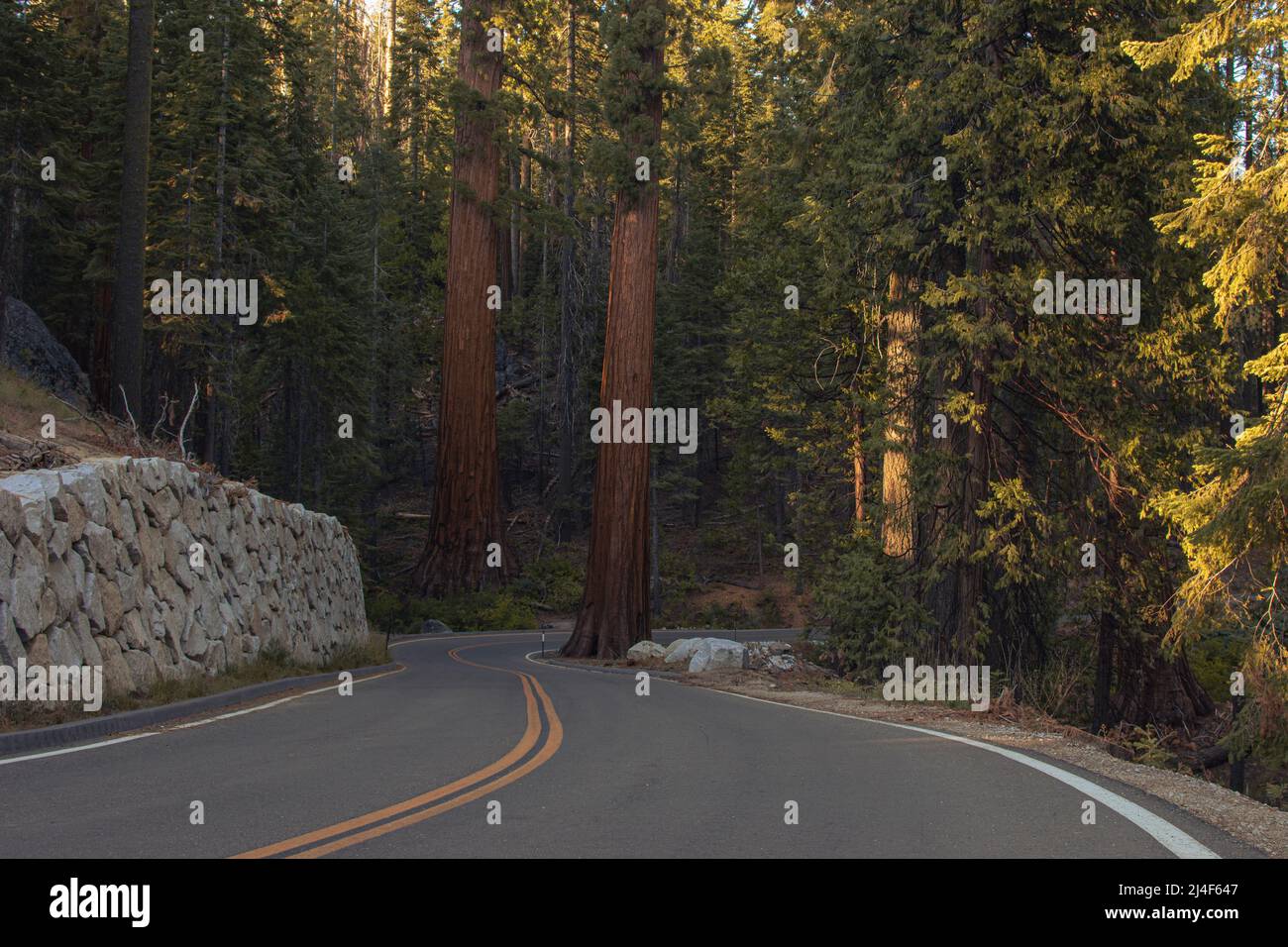 Autumnal natural landscape from Yosemite National Park, California, United States Stock Photo