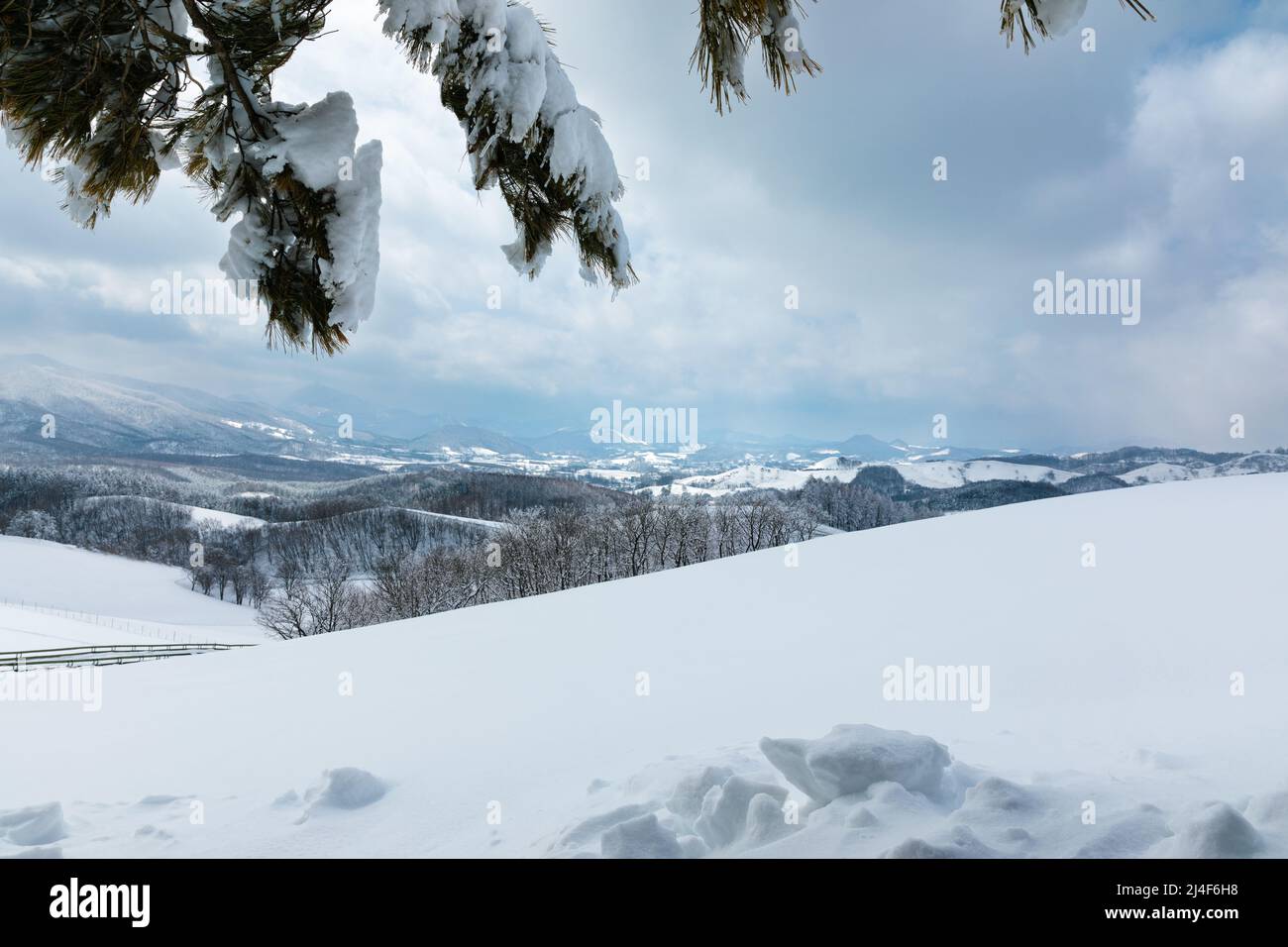 Beautiful winter mountain, snow scene (Daegwallyeong, Gangwon-do, South Korea) Stock Photo