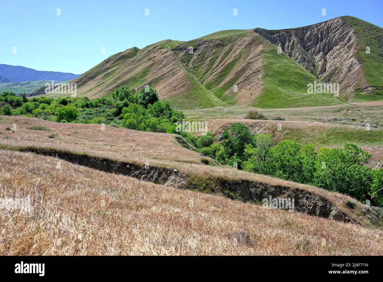 Fine art high resolution hi-res stock photography and images - Alamy