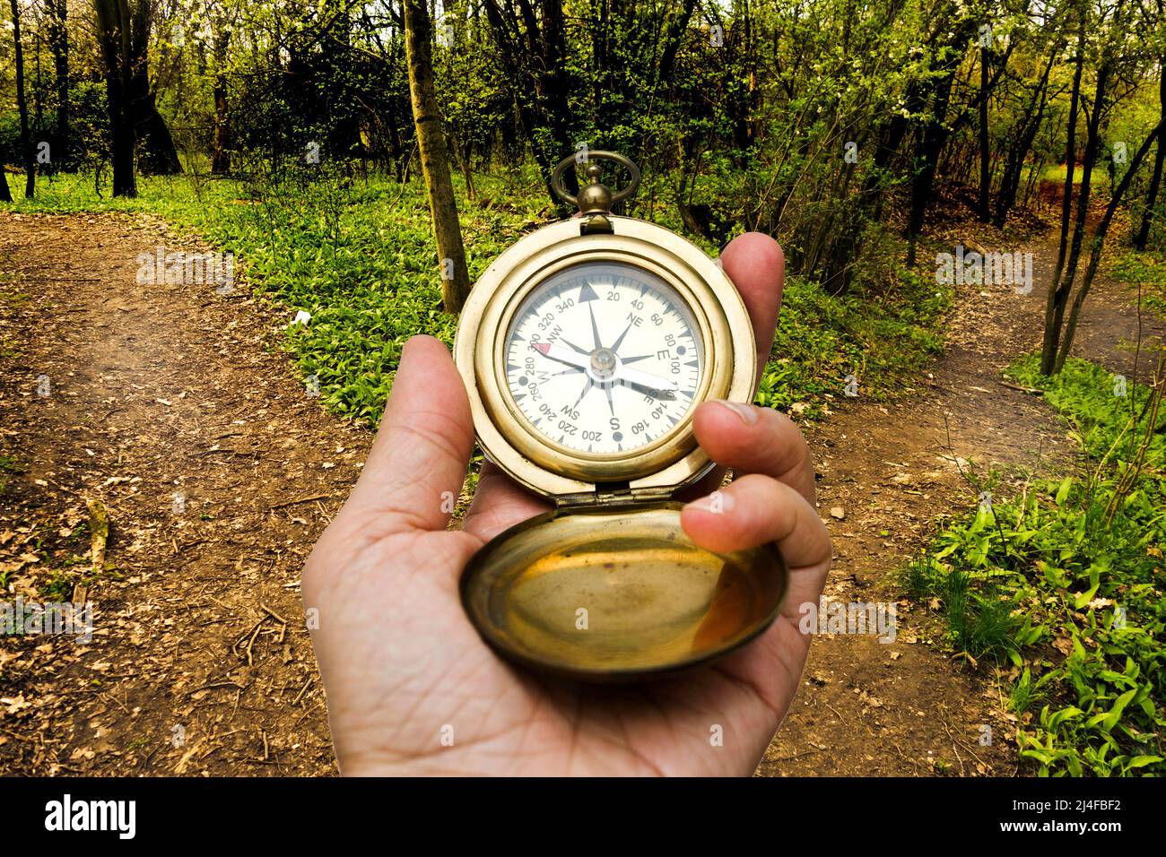 Hand Holding Compass. Online Booking Stock Image - Image of holiday, money: 153857823
