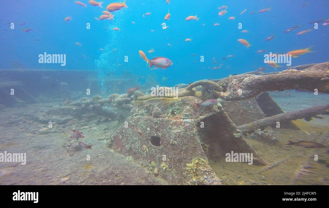 The wreck of the SS Thistlegorm in the Red Sea, Egypt Stock Photo - Alamy