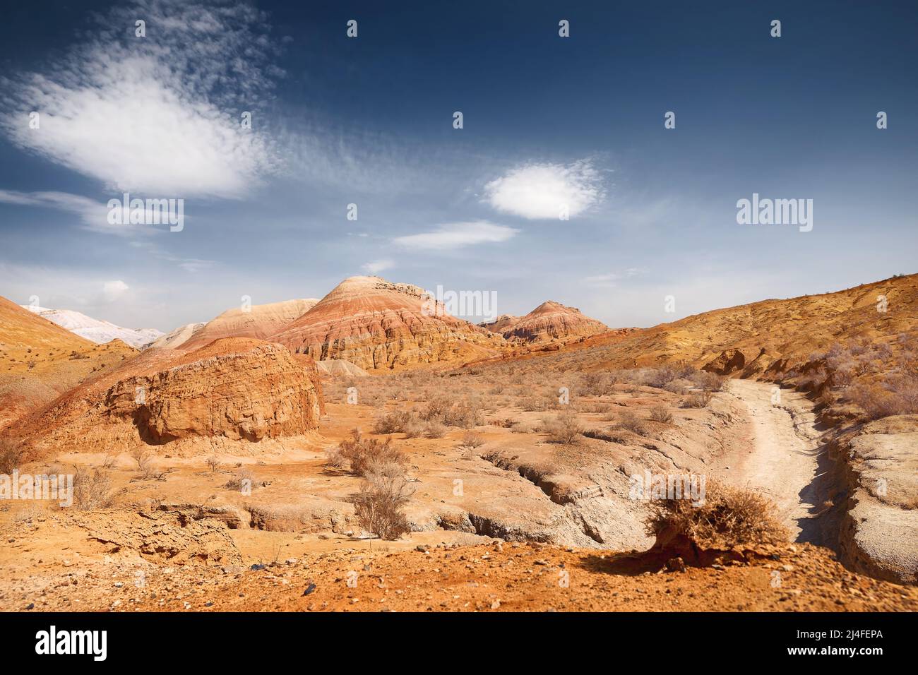 Landscape of Red with stripe bizarre layered mountains in canyon in beautiful desert park with dry plant at foreground Stock Photo