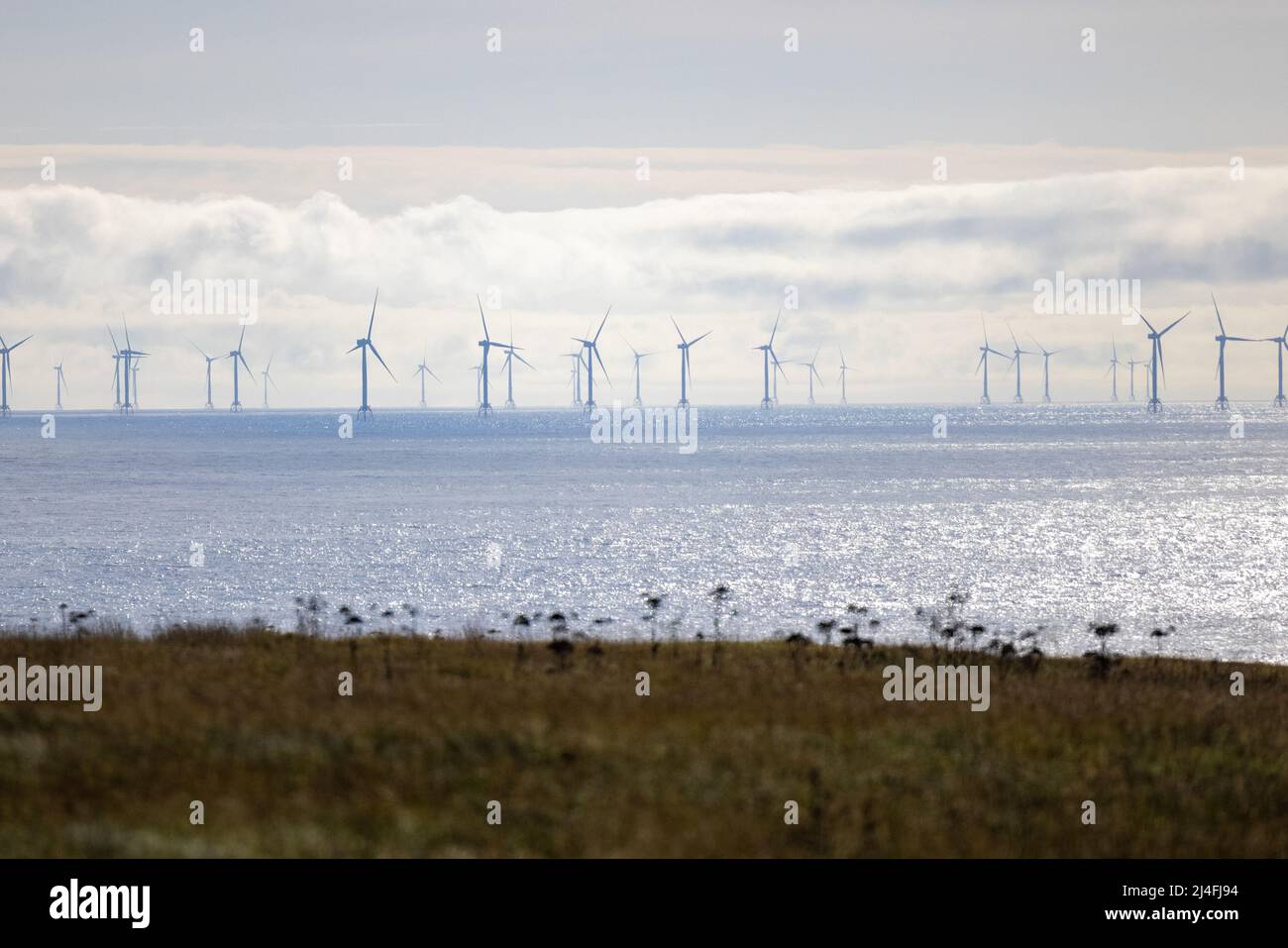 Beatrice Wind Farm, Scotland Stock Photo