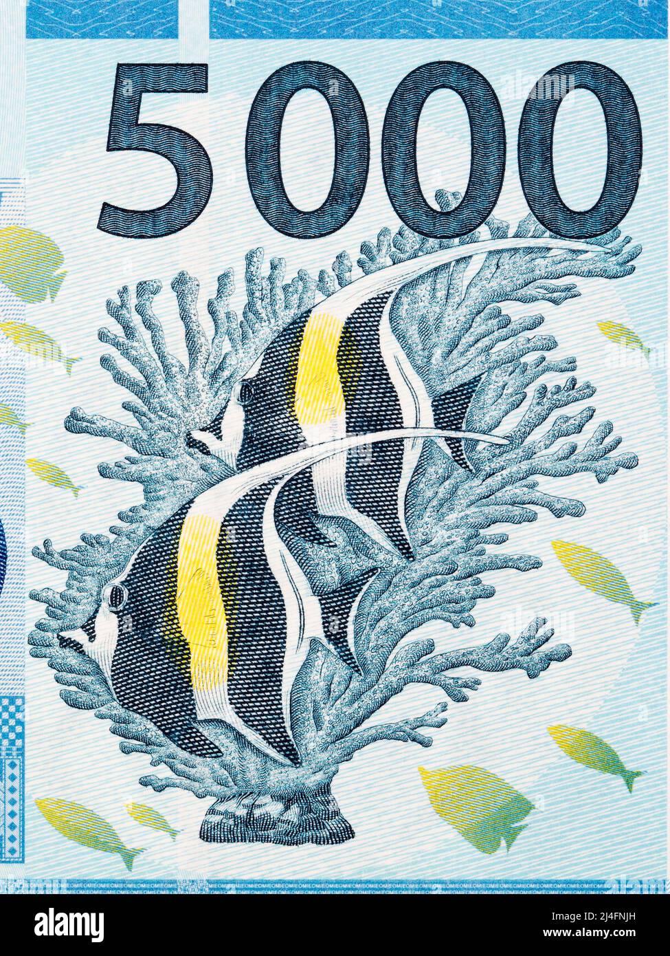 Coralfish from French Pacific Territories money - Franc Stock Photo