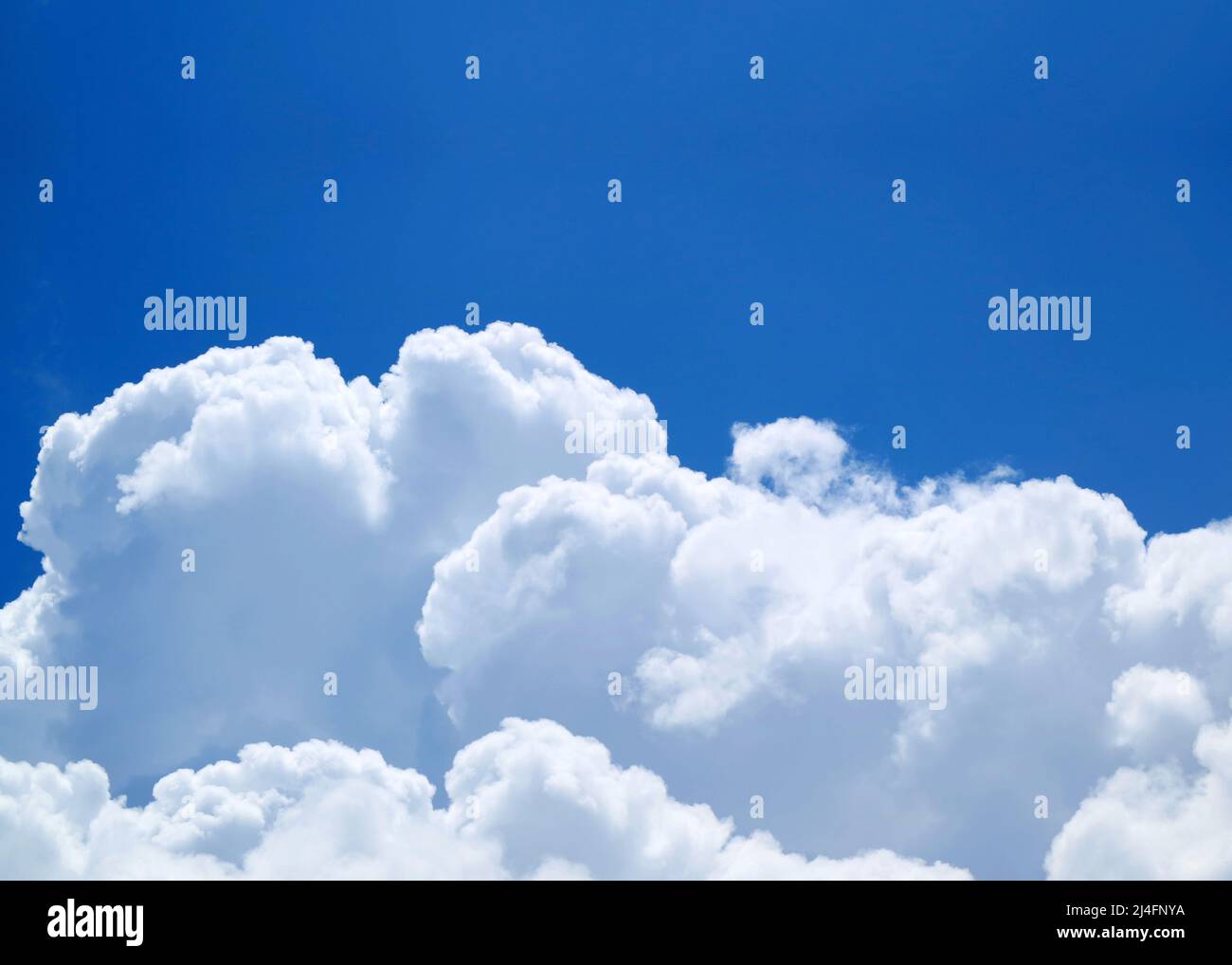 Beautiful Fluffy White Cumulus Clouds Floating on Vivid Blue Sunny Sky ...