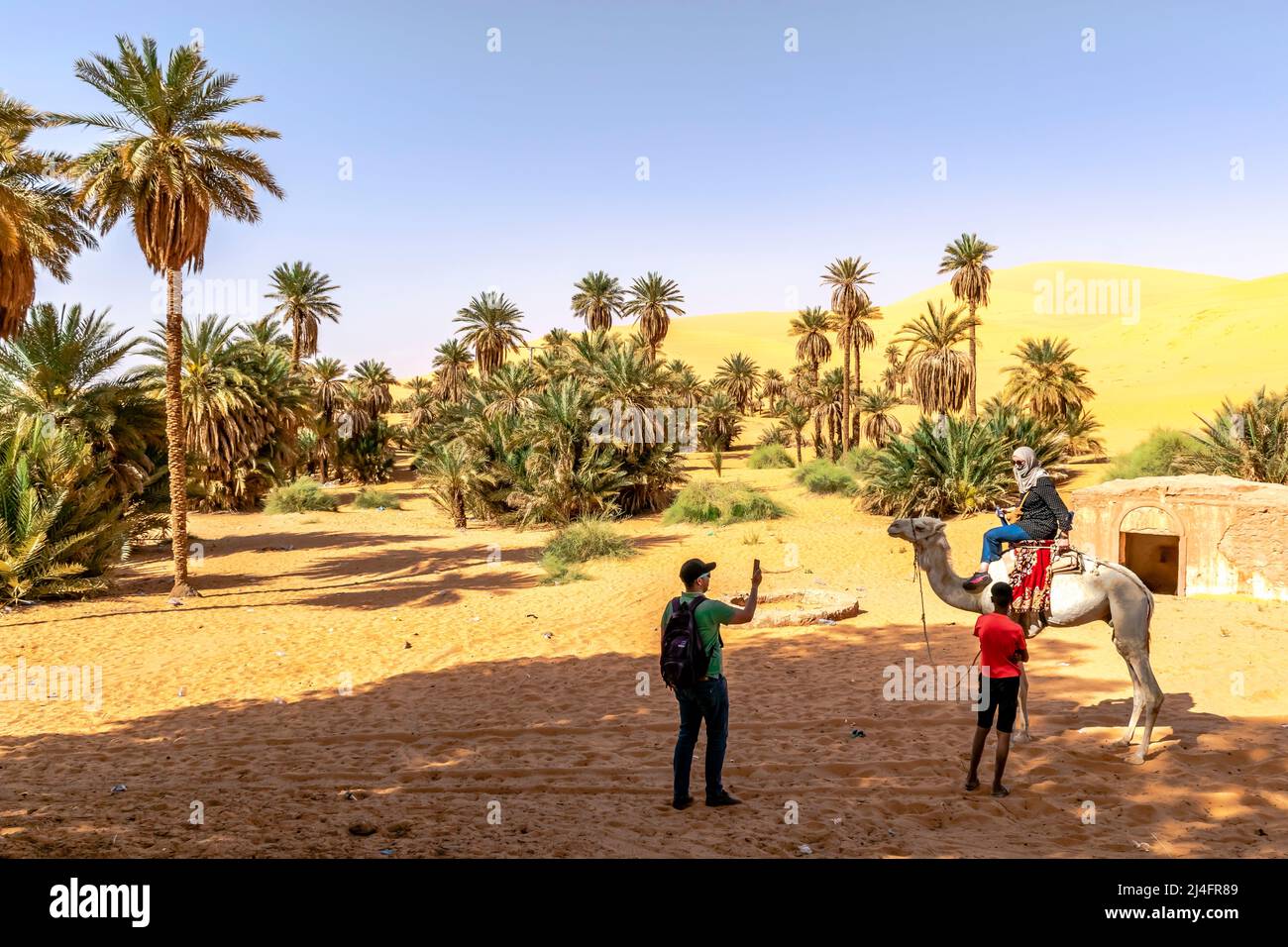 Tourists on the Sahara Desert, a women with headscarf on a dromedary camel and a man photographing with smartphone. Tuareg child local guide holding. Stock Photo