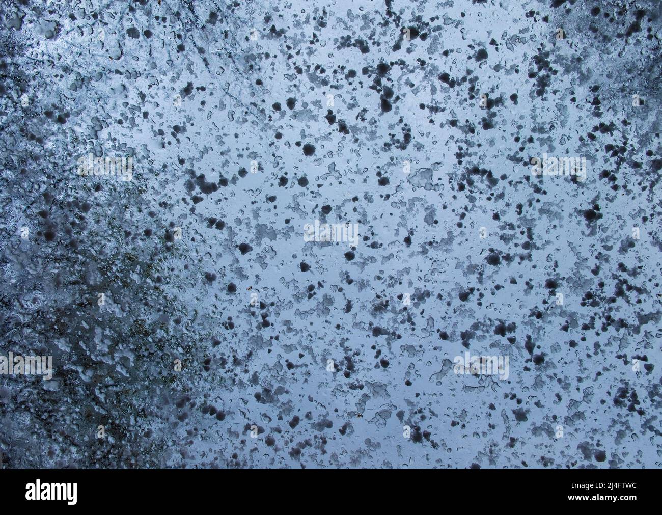 Snow on glass - Stock Image