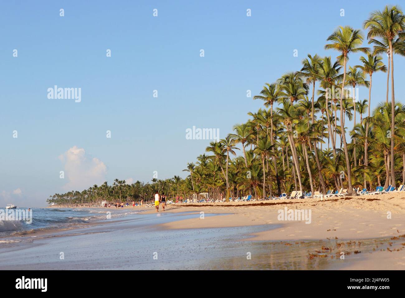 Defocused view to coconut palm trees on tropical beach. Tourists on coast of the Dominican Republic at morning Stock Photo