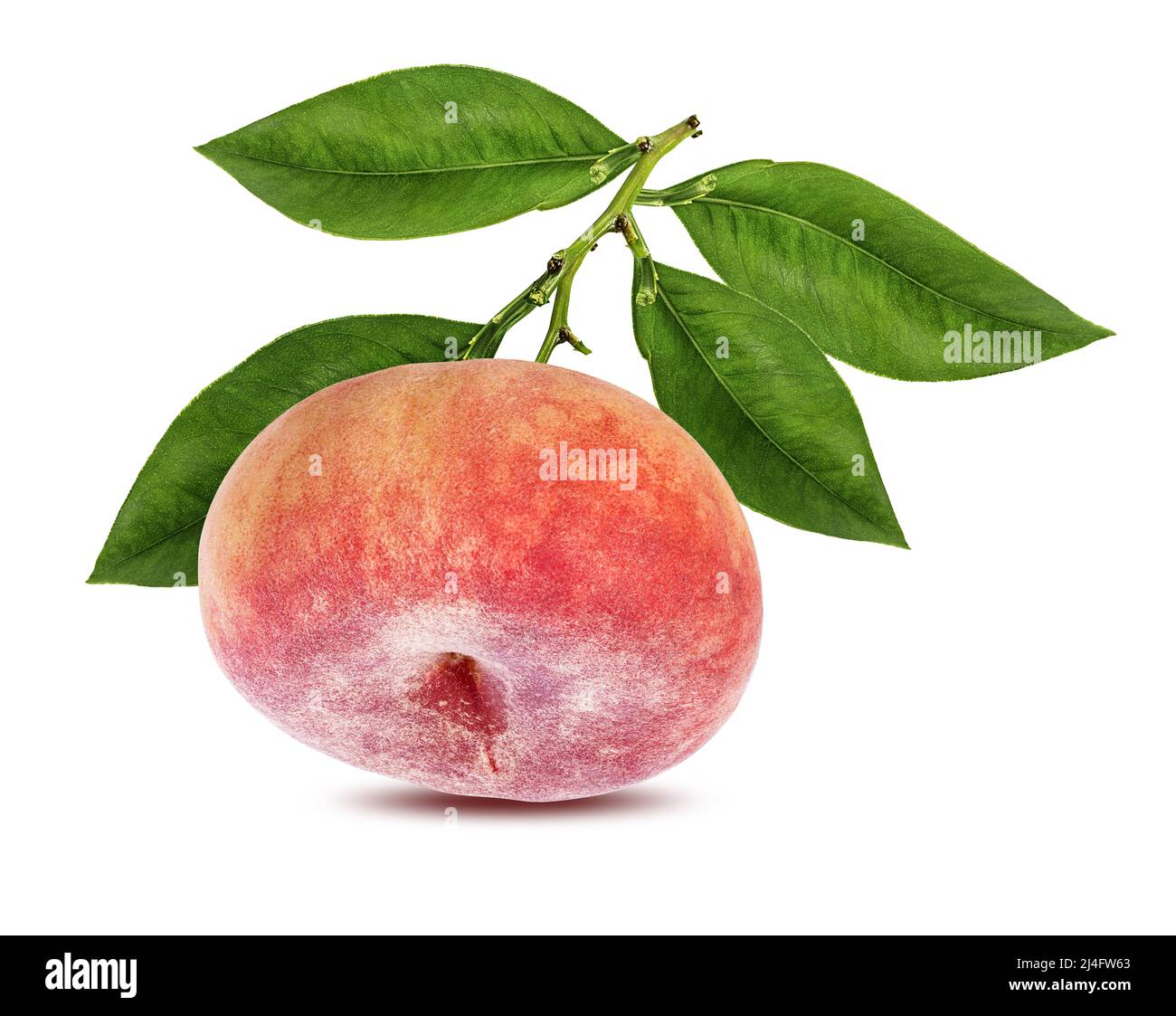 Peach isolate. Peach with leaf on white background. Full depth of field. Stock Photo