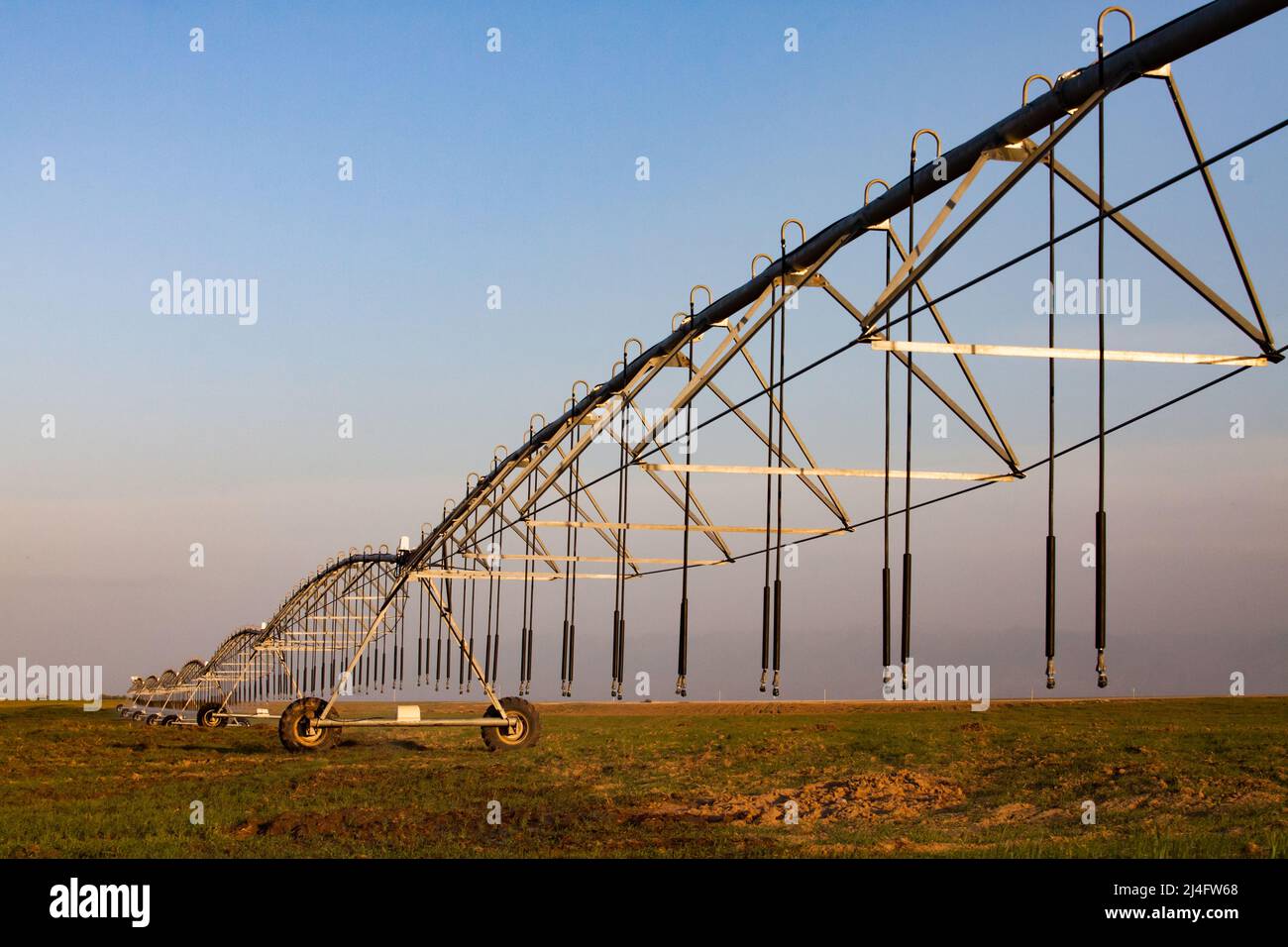 Modern drip irrigation system on grass field Stock Photo Alamy