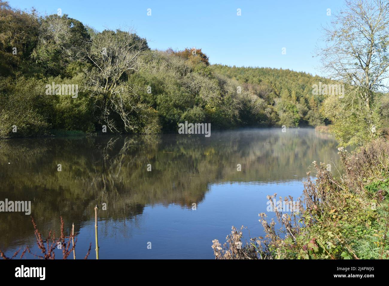 River Barrow, River Nore, Ireland, River, Waterway, Beauty in Nature, Landscape, Rivers, Water