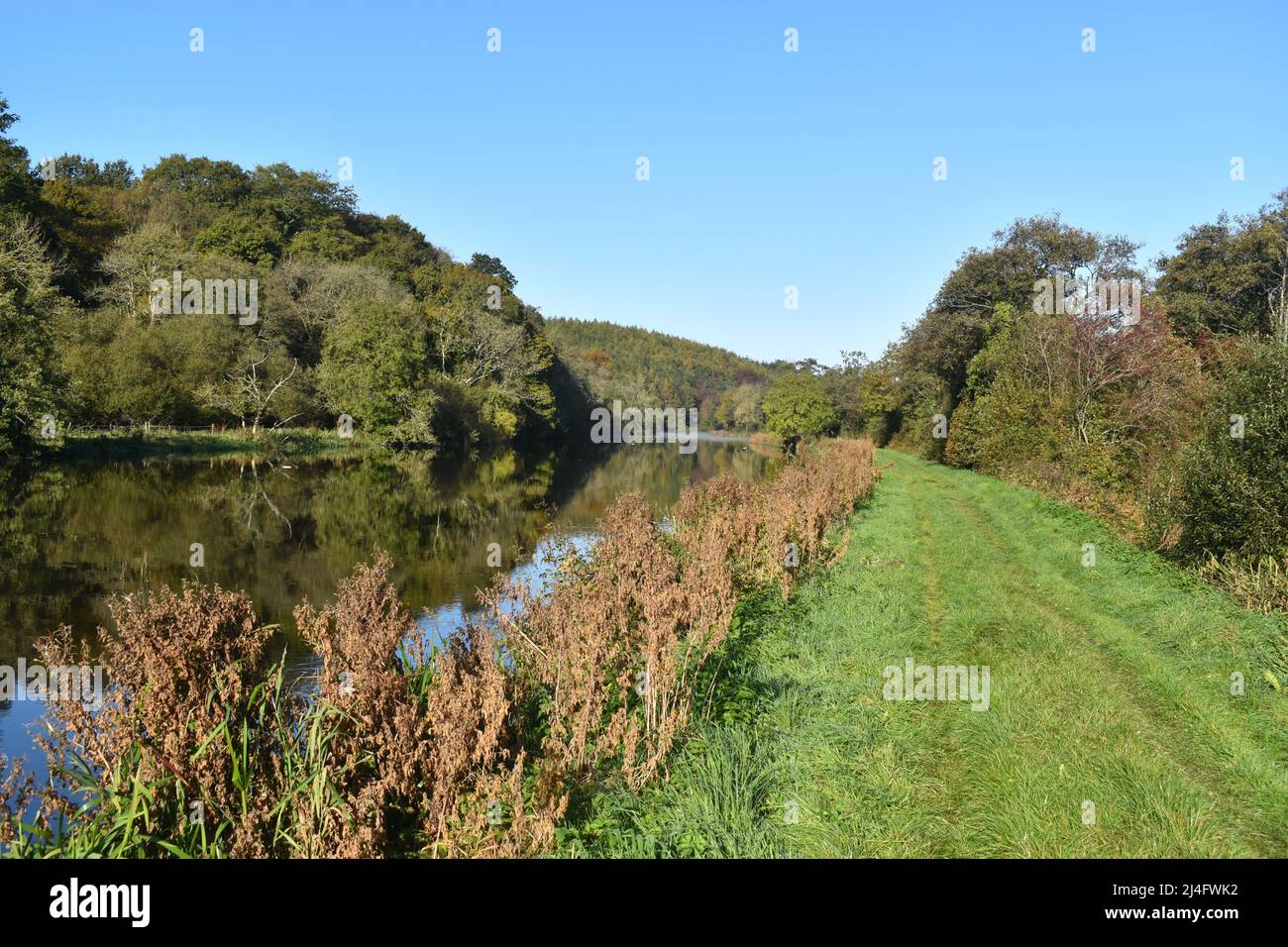 River Barrow, River Nore, Ireland, River, Waterway, Beauty in Nature, Landscape, Rivers, Water