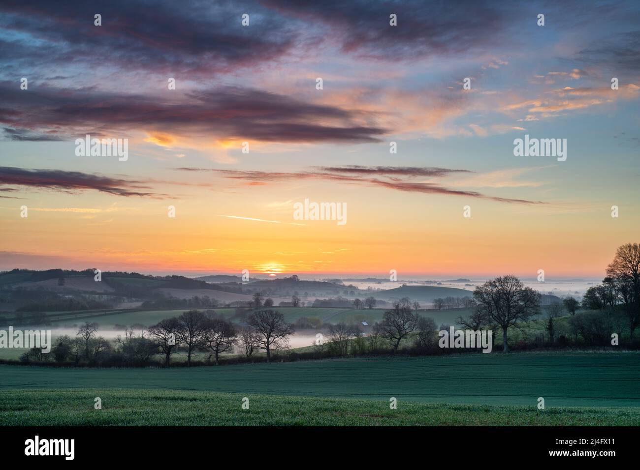 Spring sunrise and mist near Swalcliffe in the oxfordshire countryside. Oxfordshire, England Stock Photo