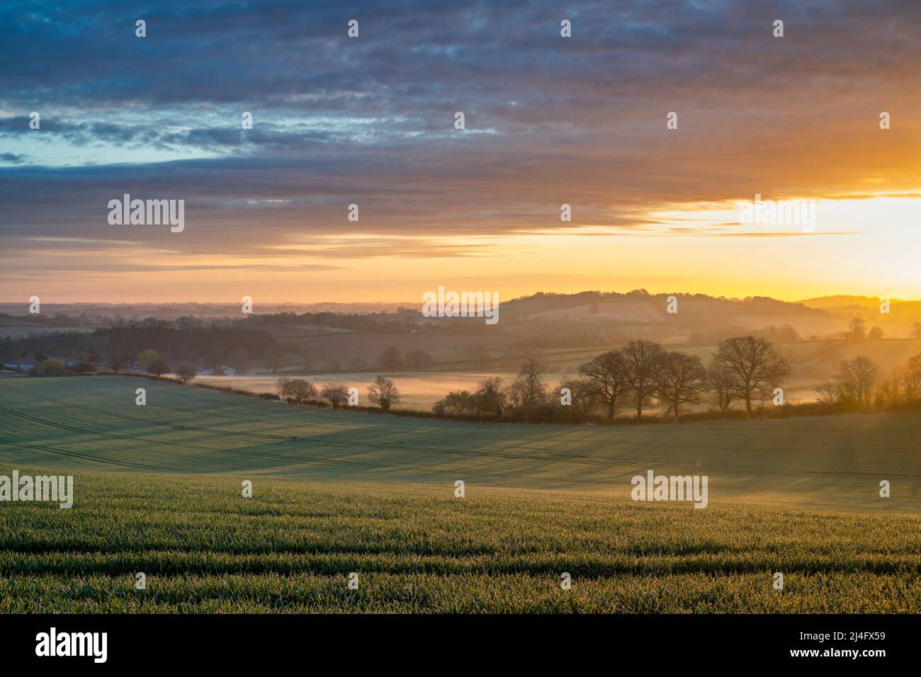 Spring light just after sunrise near Swalcliffe in the oxfordshire countryside. Oxfordshire, England Stock Photo