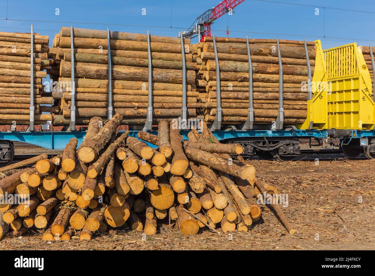 Woodworking industry. Wagons laden with wood in Czech Republic. Timber