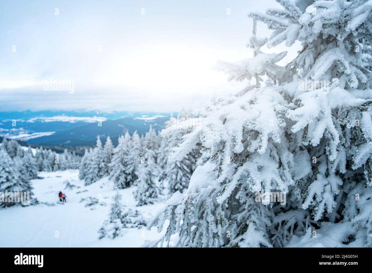 Picturesque winter landscape hi-res stock photography and images - Alamy
