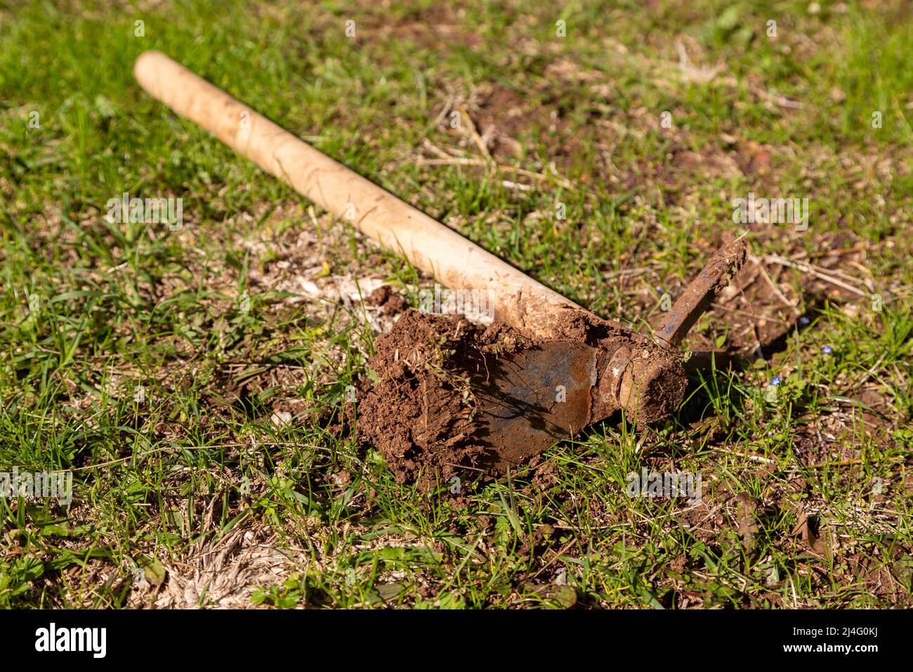 Farming hoe on grass with soil on it. Metal part of farming hoe in selective focus. Spring, gardening, farming concept. Stock Photo