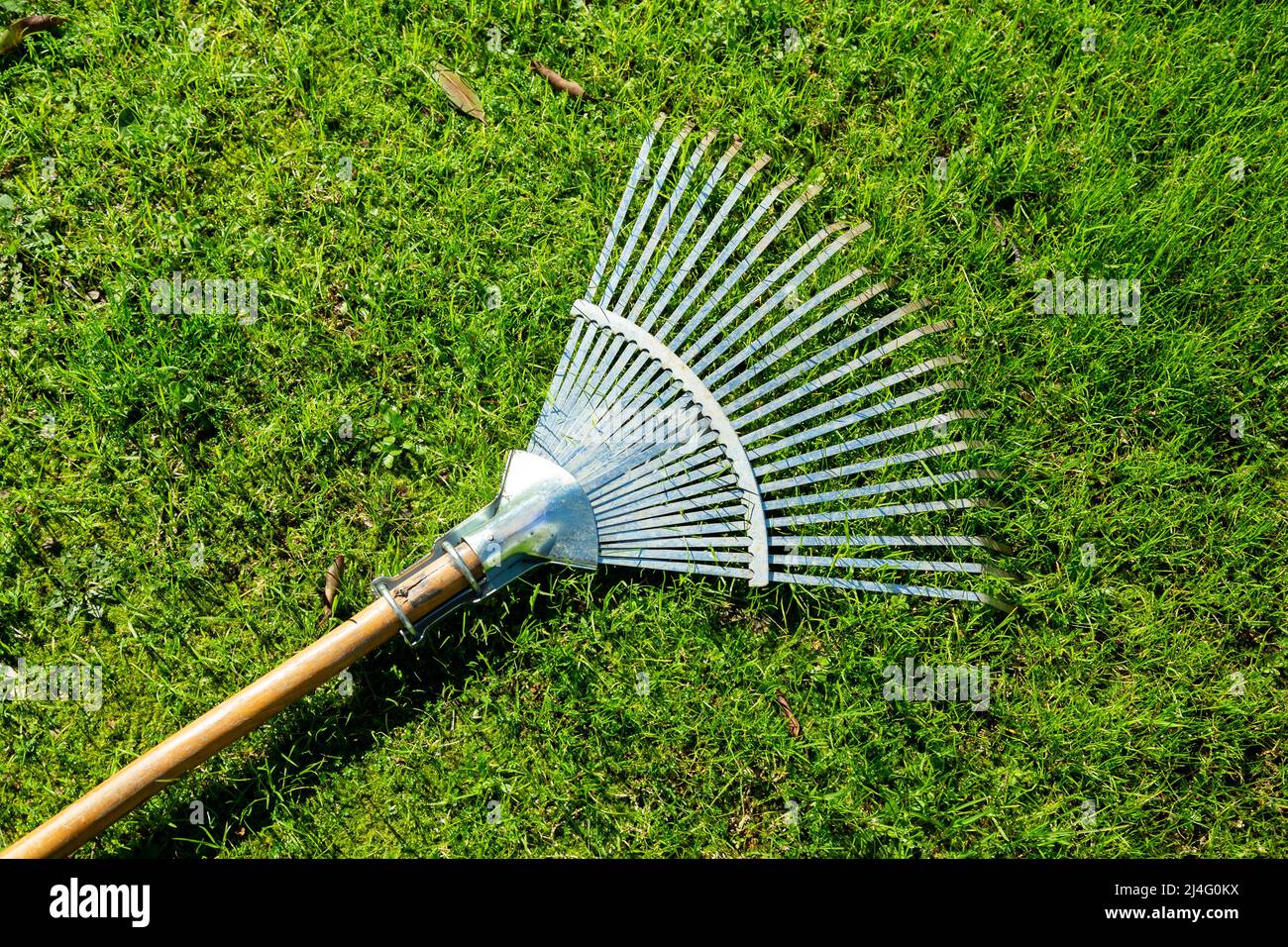 Garden rake on the lawn. Garden rake with wooden handle made of bright steel. Spring, gardening, farming concept. Stock Photo