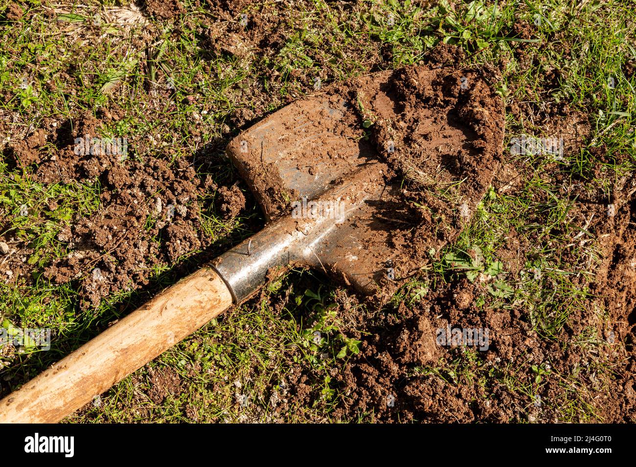 Used farming shovel with soil on it. Gardening, spring, agriculture concept. Stock Photo