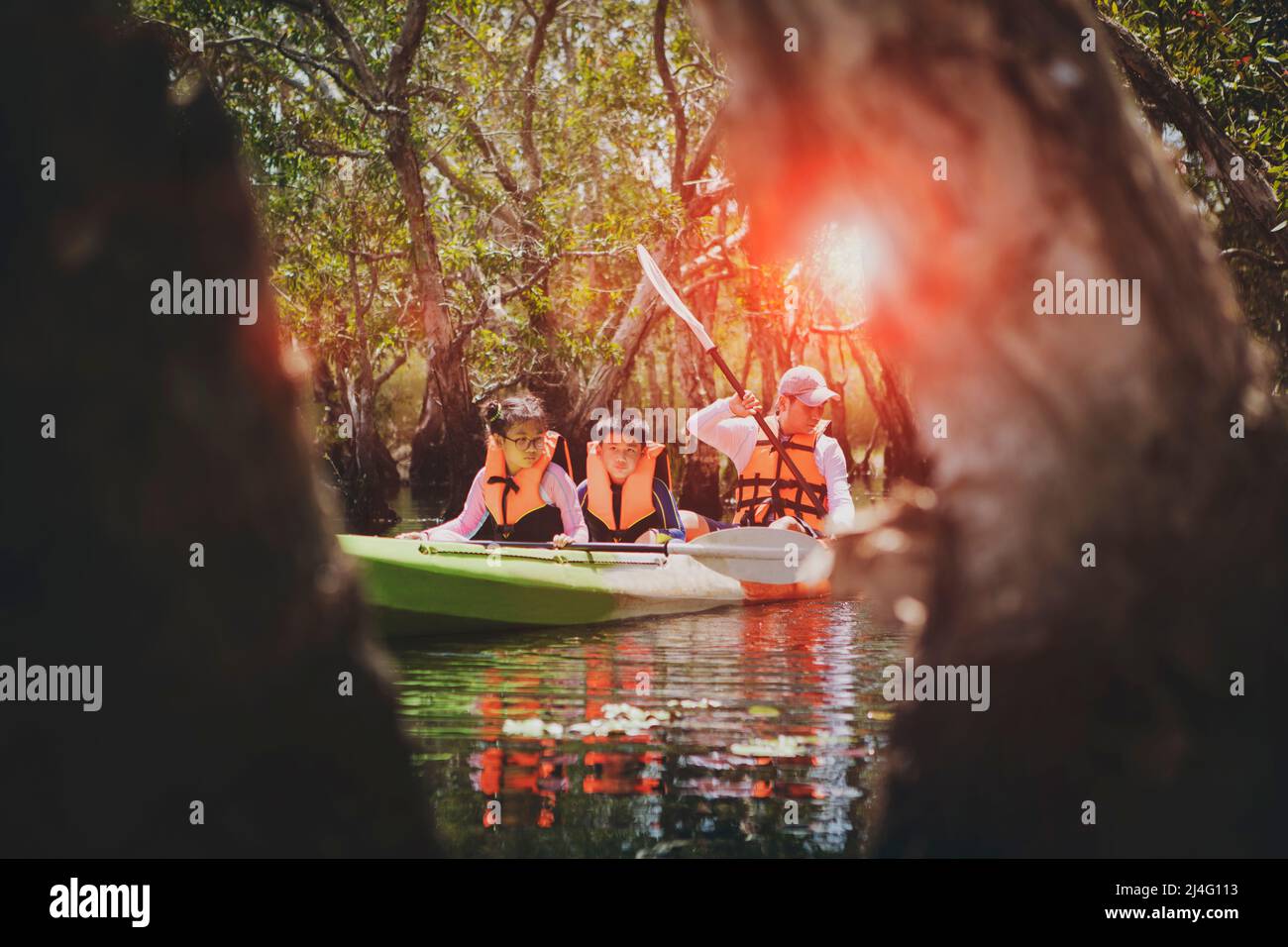 asian family sailing sea kayak in mangrove forest Stock Photo