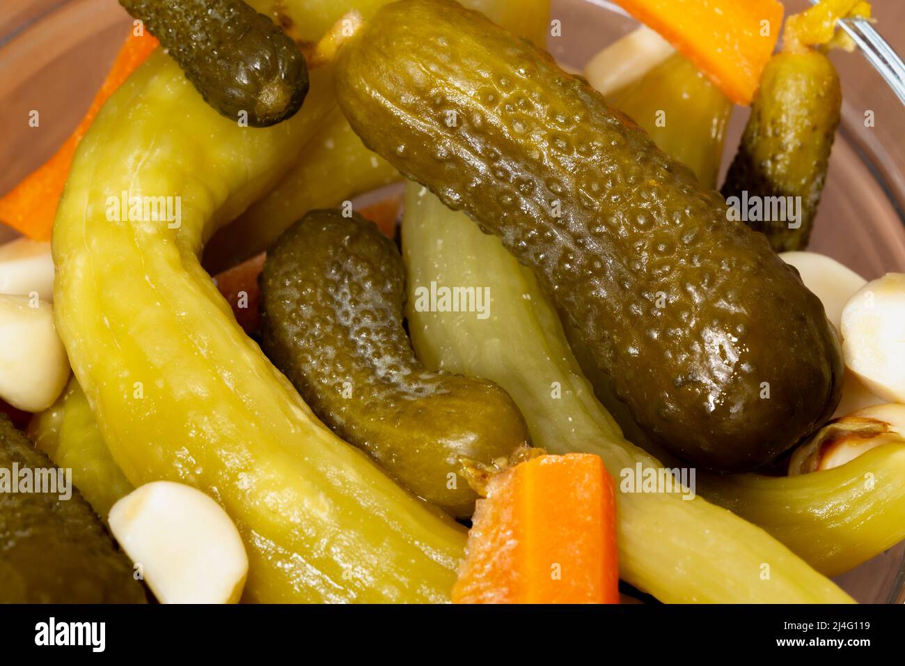Pickles made with cucumber, carrot, garlic and a type of zucchini known as acur in Turkish. Big cucumber in selective focus. Stock Photo