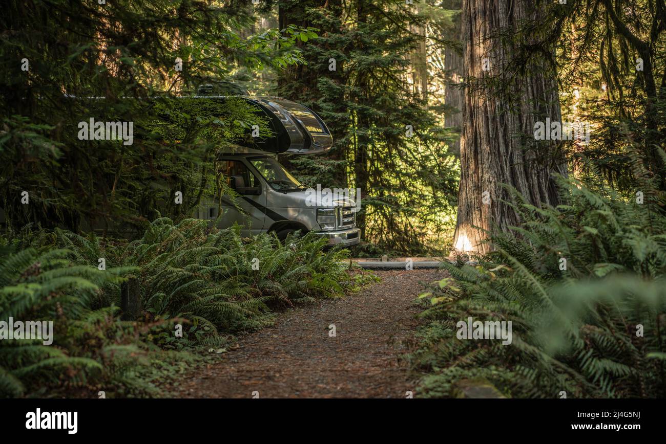 Recreational Vehicle RV Camping in the Redwood Forest of California