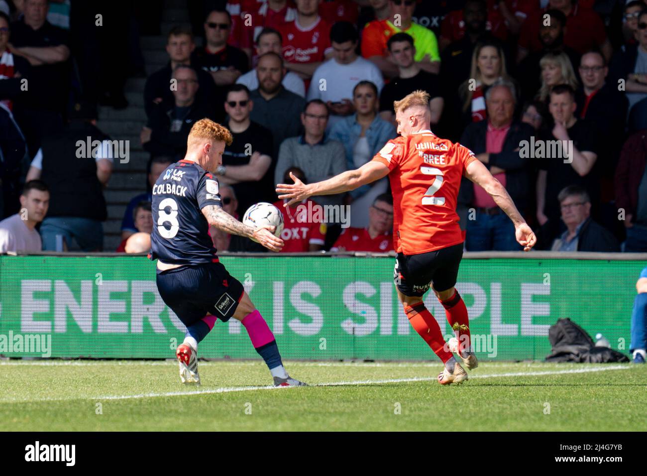HAND BALL (FOREST)