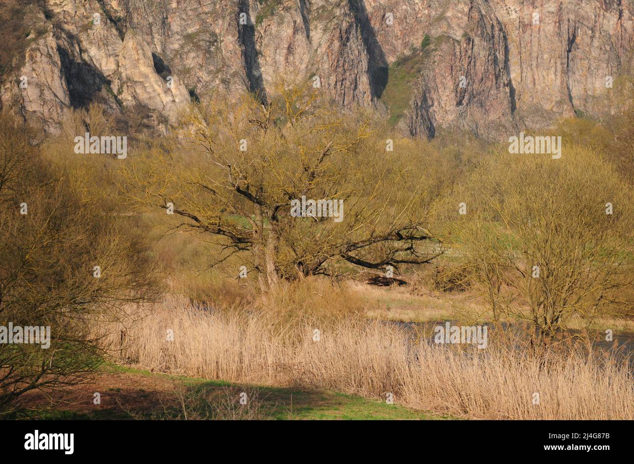 Wilderness Area Along The Nahe River At Natur Reserve Rotenfels Near Bad Kreuznach Rhineland-Palatine Germany On A Beautiful Spring Day Stock Photo
