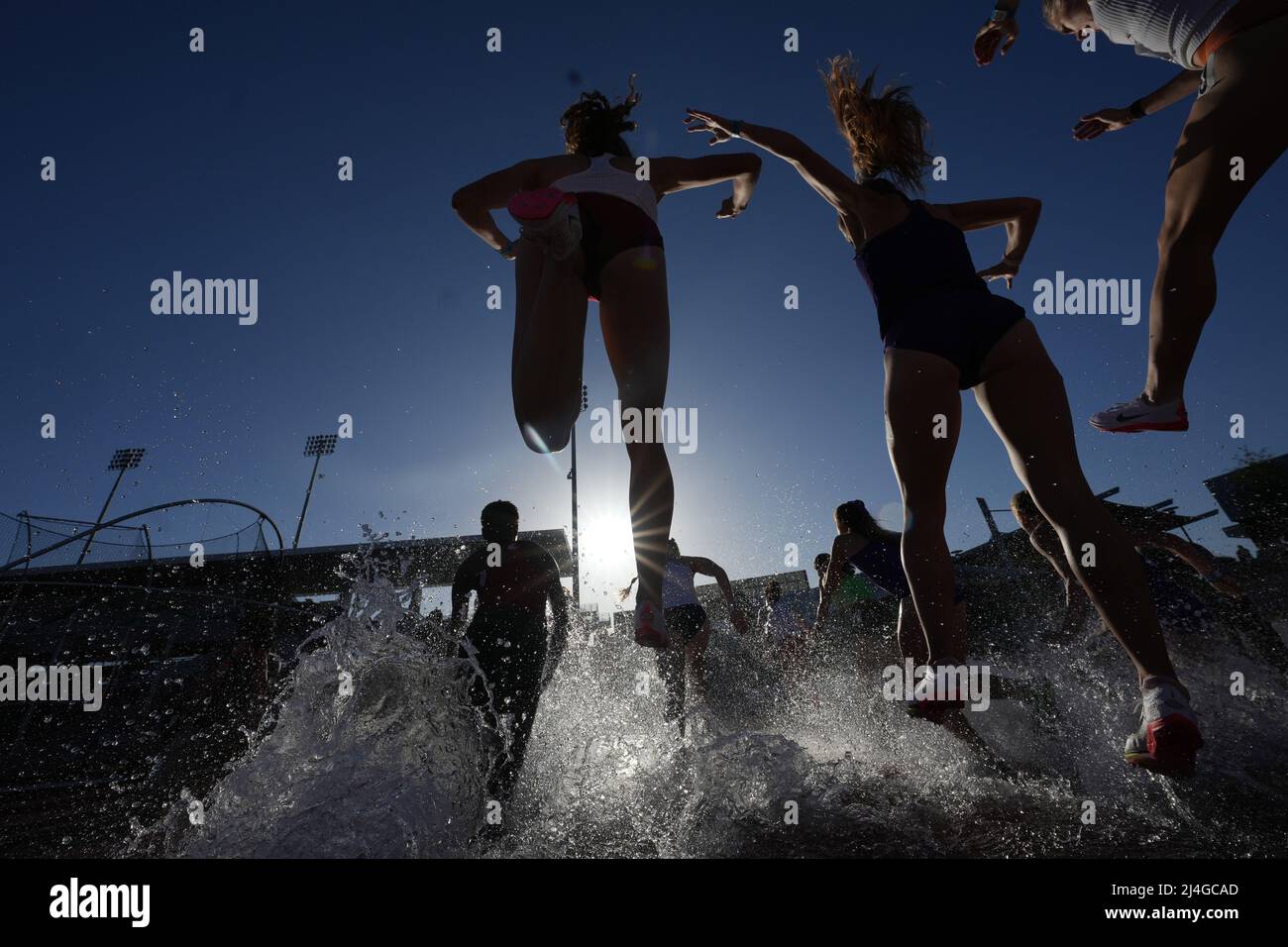 Runners race over the water jump in the women's steeplechase during the  62nd Mt. San Antonio College Relays, Thursday, Apr. 24, 2022, in Walnut,  Calif Stock Photo - Alamy
